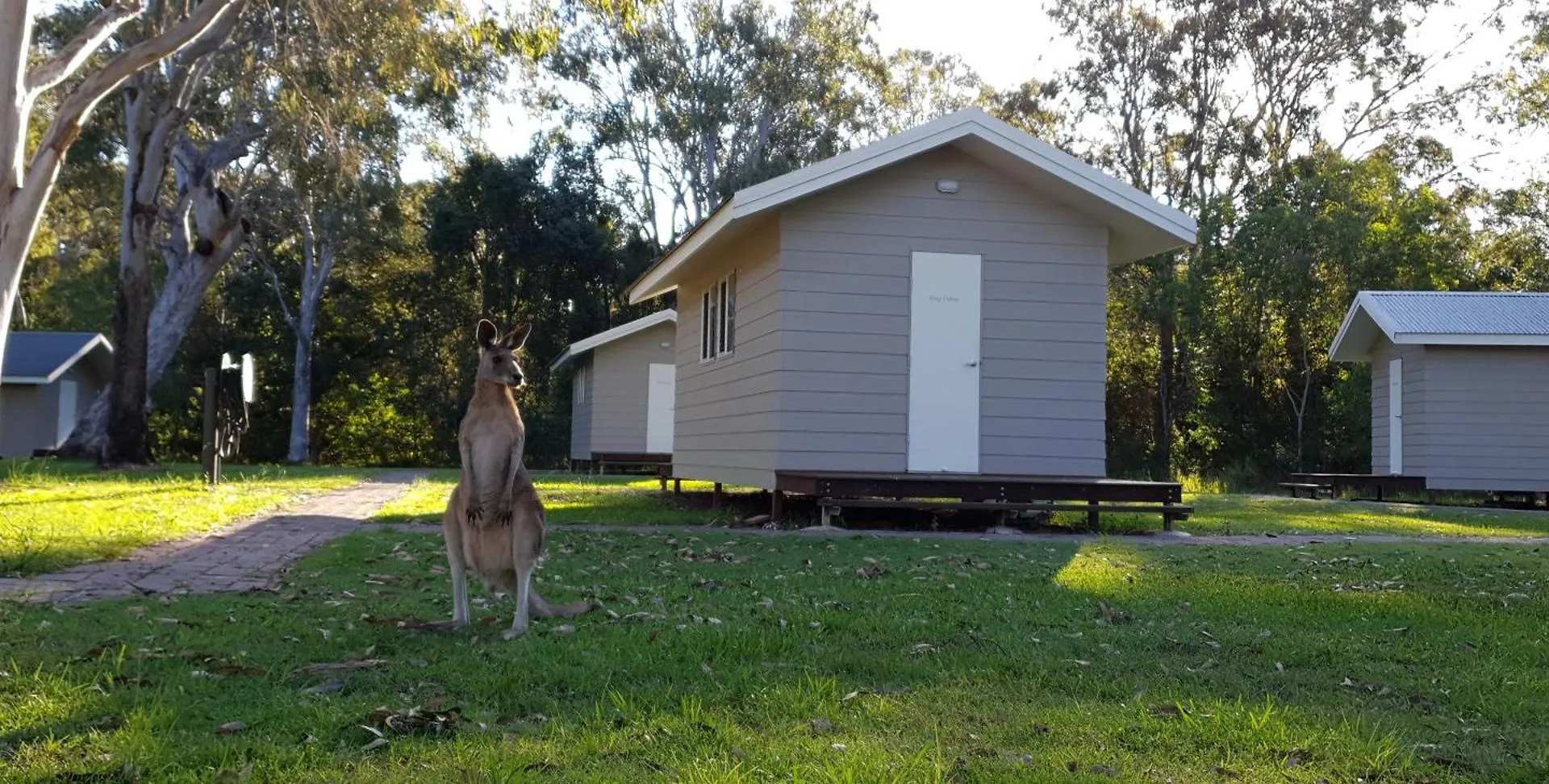 Kangarooms Noosa Everglades Cootharaba